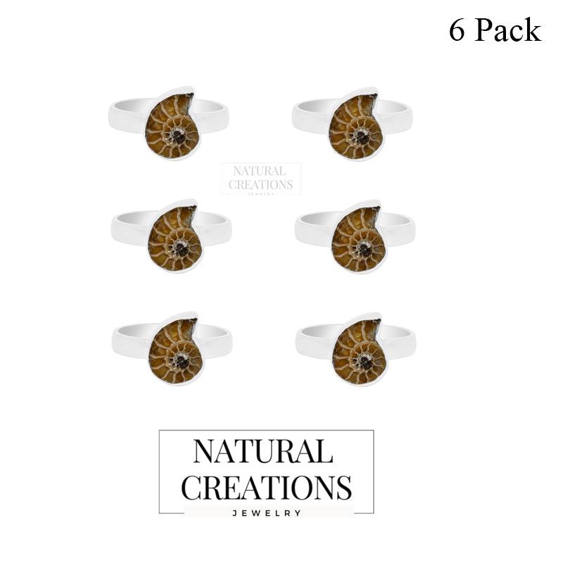 Ammonite Ring_R-BOX-4_Box_1