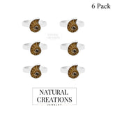 Ammonite Ring_R-BOX-4_Box_1