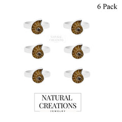 Ammonite Ring_R-BOX-4_Box_1