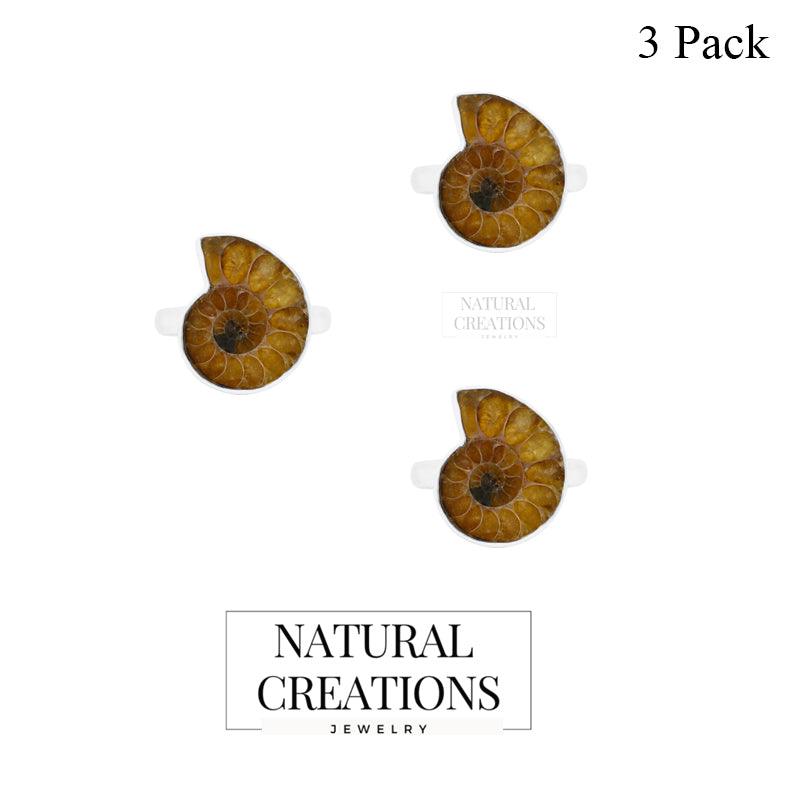 Ammonite Ring_R-BOX-9_Box_1