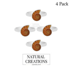 Ammonite Slice Ring_R-BOX-17_Box_1