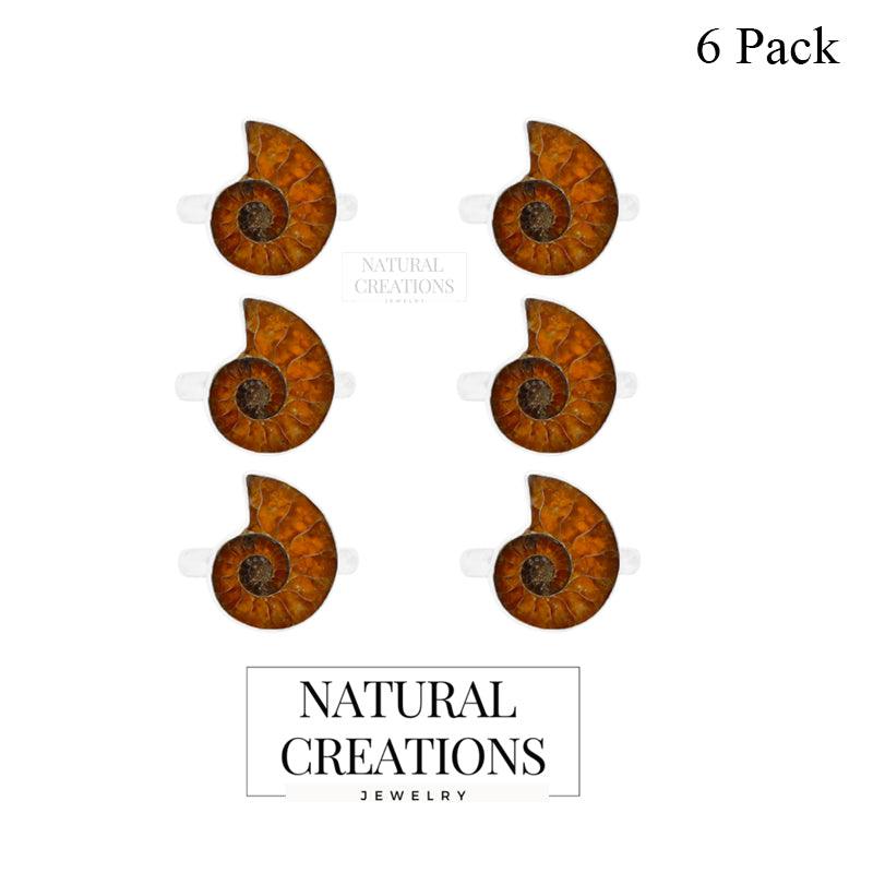 Ammonite Ring_R-BOX-8_Box_1