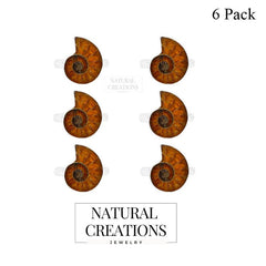 Ammonite Ring_R-BOX-8_Box_1