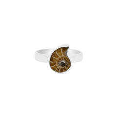 Ammonite Ring_R-BOX-3_2