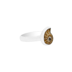Ammonite Ring_R-BOX-4_3