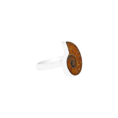 Ammonite Ring_R-BOX-8_4