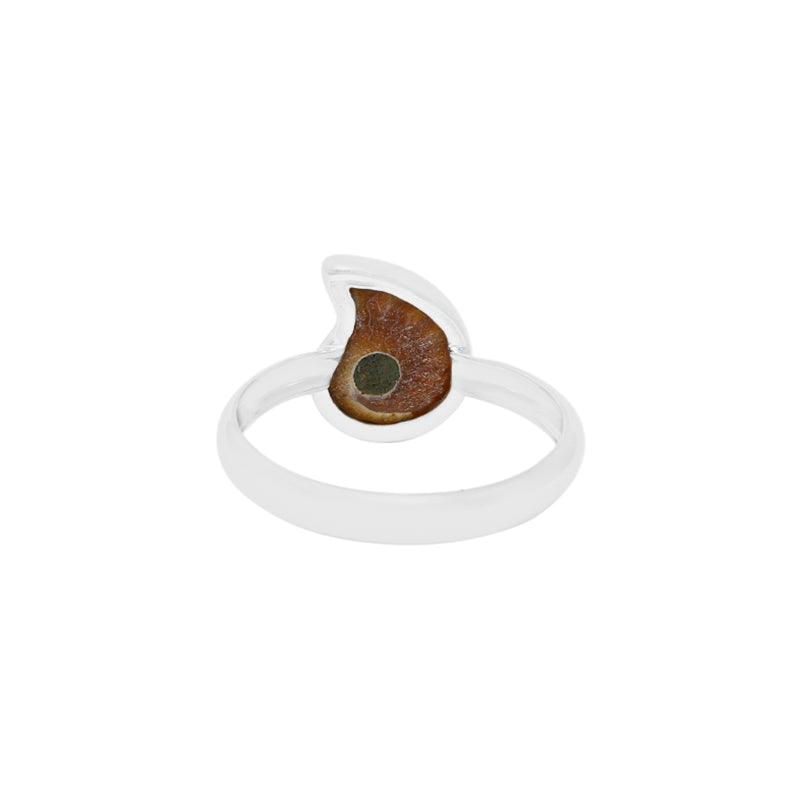 Ammonite Ring_R-BOX-14_4
