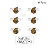 Ammonite Ring_R-BOX-3_Box_1