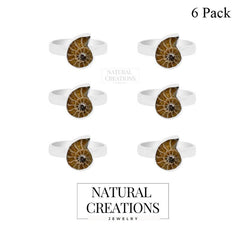 Ammonite Ring_R-BOX-3_Box_1