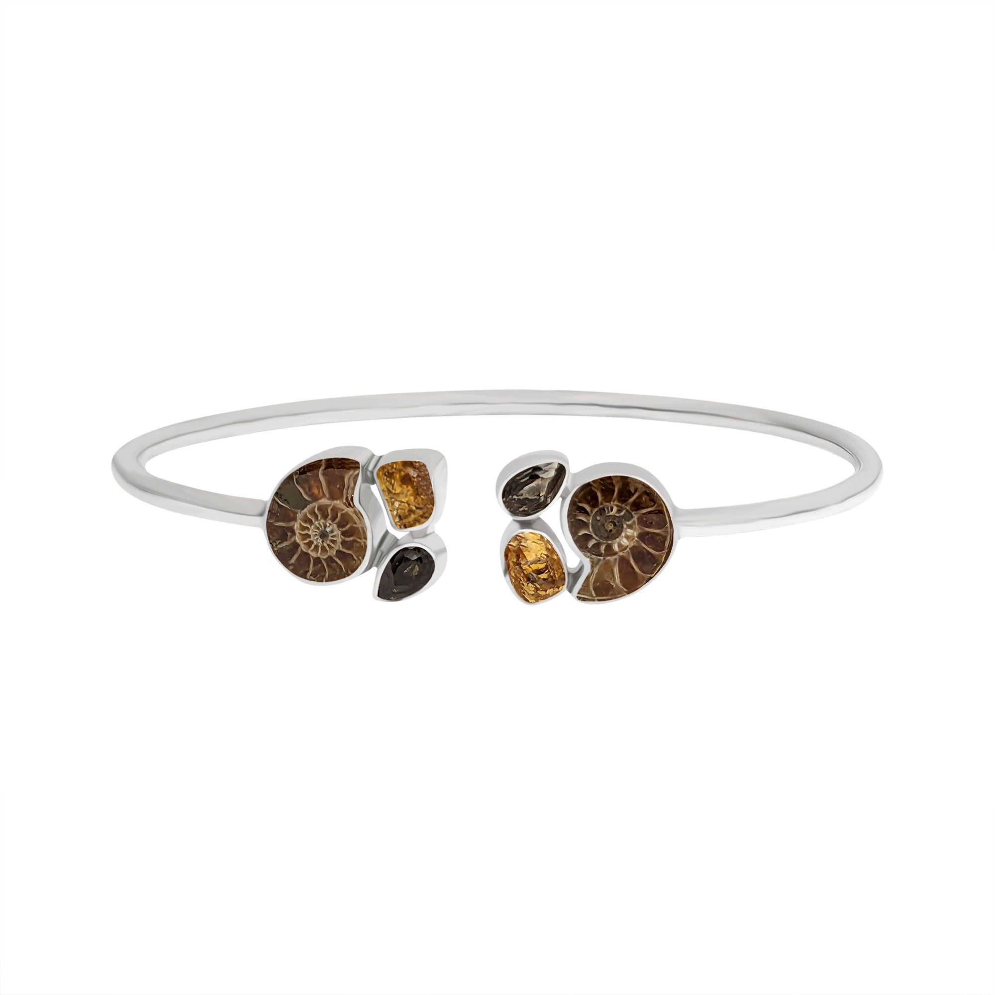 Ammonite Bangle_D8-6-5