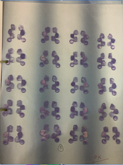 Designer Amethyst Earrings Pack of 1 Pack of 1 (D4-5)