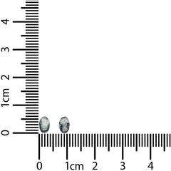 dendritic opal earrings