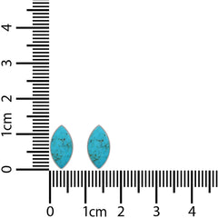 turquoise cab earrings