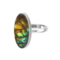 Natural Ammolite Ring 925 Sterling Silver Bezel Set Handmade Jewelry Pack of 6 - (Box 7)