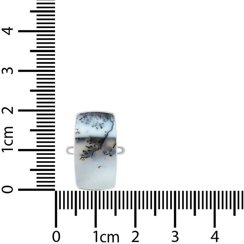 Dendrite Opal Ring_R-BOX-17_16