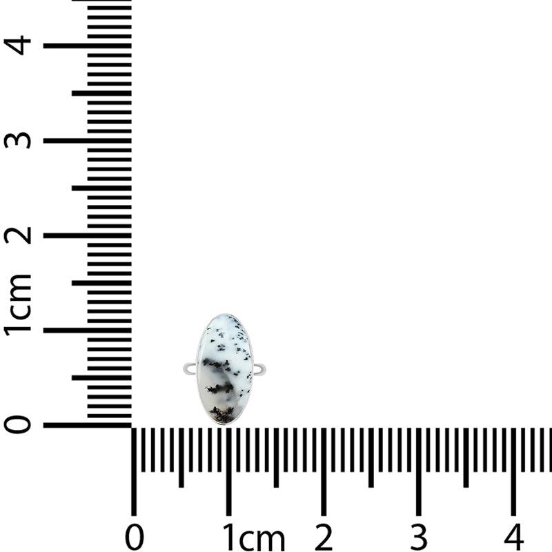 Dendrite Opal Ring_R-BOX-11_9