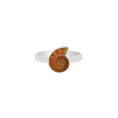 Ammonite Ring_R-BOX-14_2