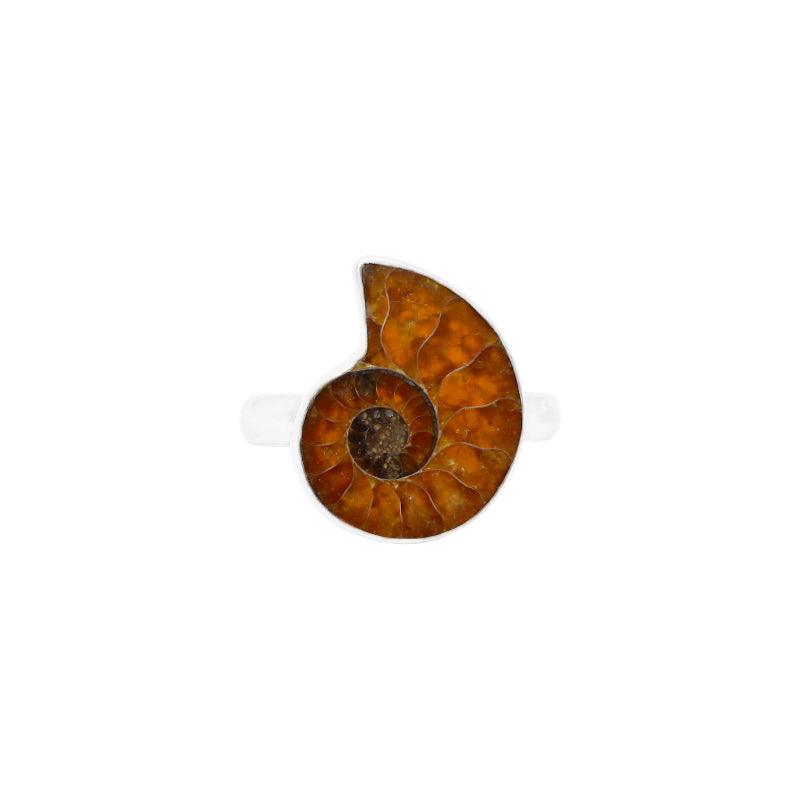 Ammonite Ring_R-BOX-8_2