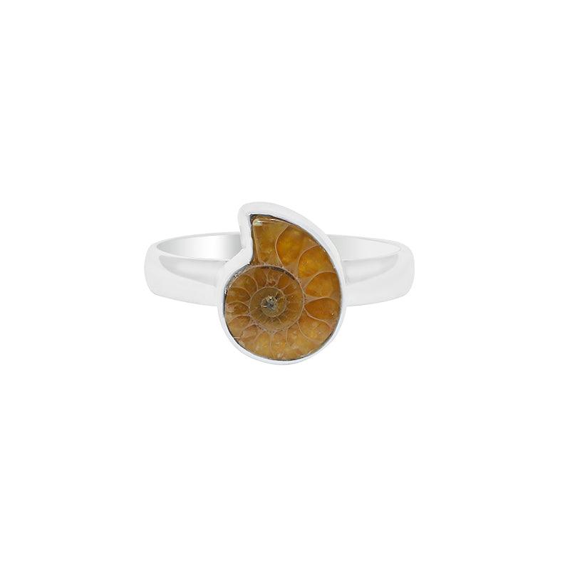 Ammonite Ring_R-BOX-2_2