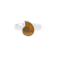 Ammonite Ring_R-BOX-2_2