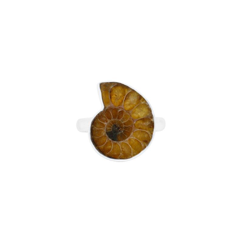 Ammonite Ring_R-BOX-10_2