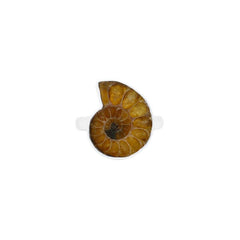 Ammonite Ring_R-BOX-11_2