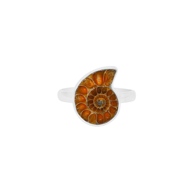 Ammonite Slice Ring_R-BOX-17_2