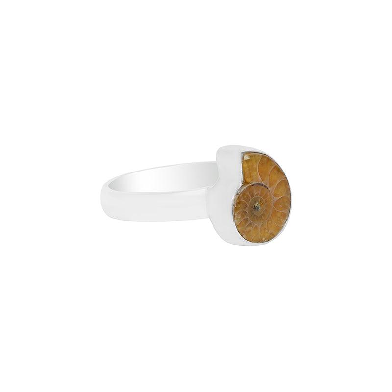 Ammonite Ring_R-BOX-2_3