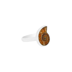 Ammonite Slice Ring_R-BOX-17_3