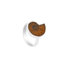 Ammonite Ring_R-BOX-8_3