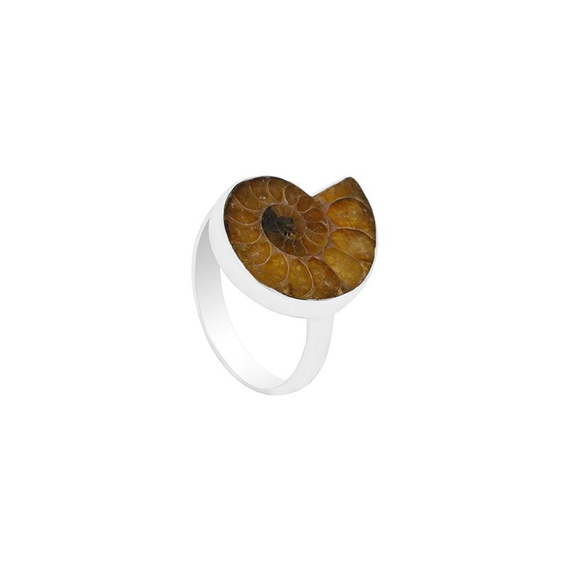 Ammonite Ring_R-BOX-9_4