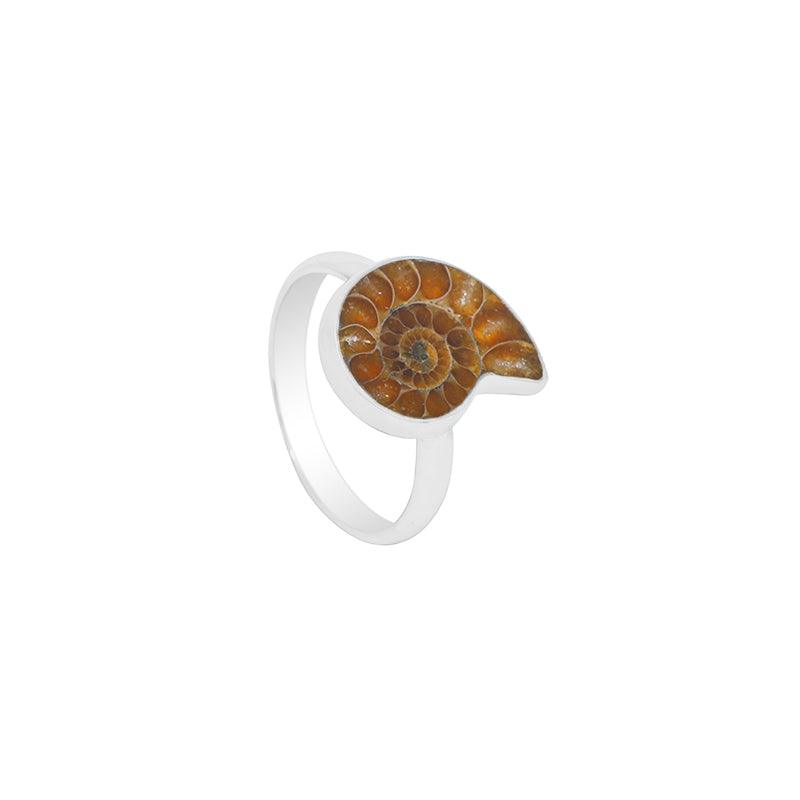 Ammonite Slice Ring_R-BOX-17_4