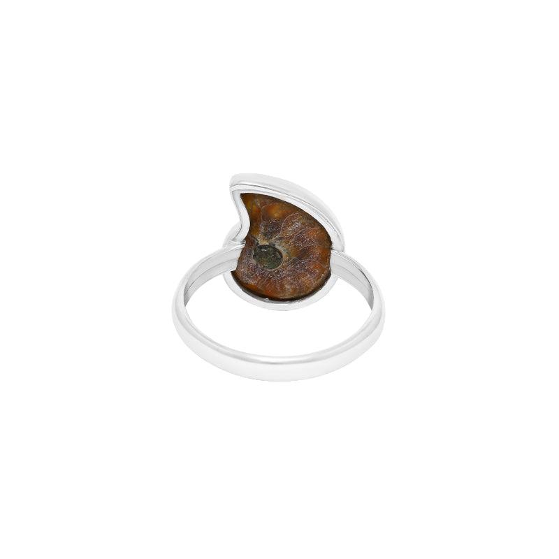 Ammonite Slice Ring_R-BOX-17_5