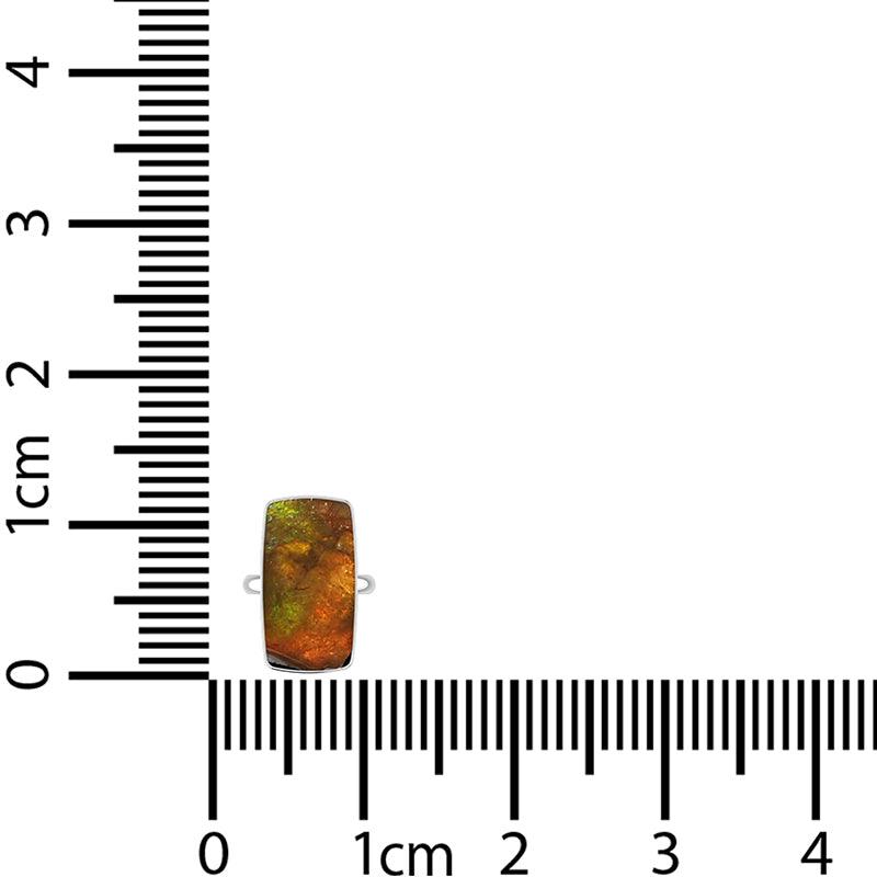 Ammolite Ring_R-BOX-11_6