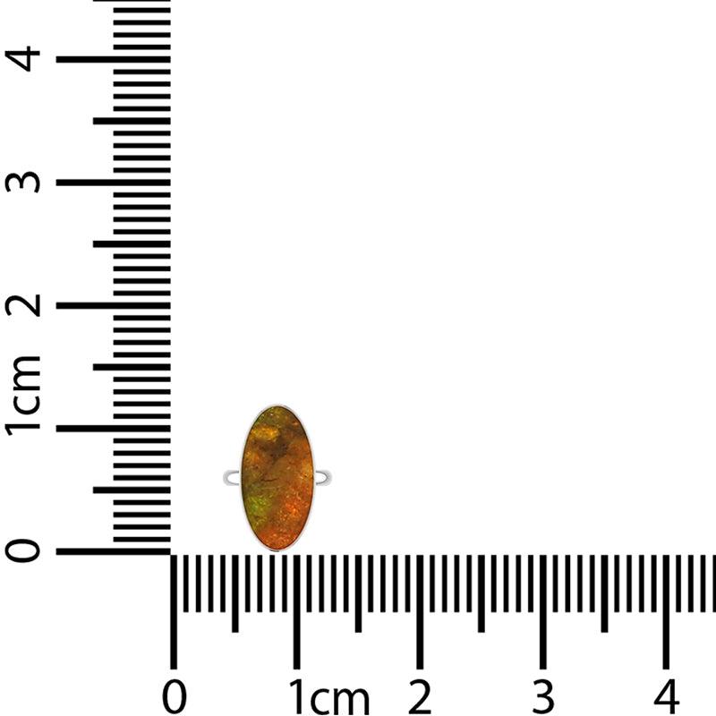 Ammolite Ring_R-BOX-11_11