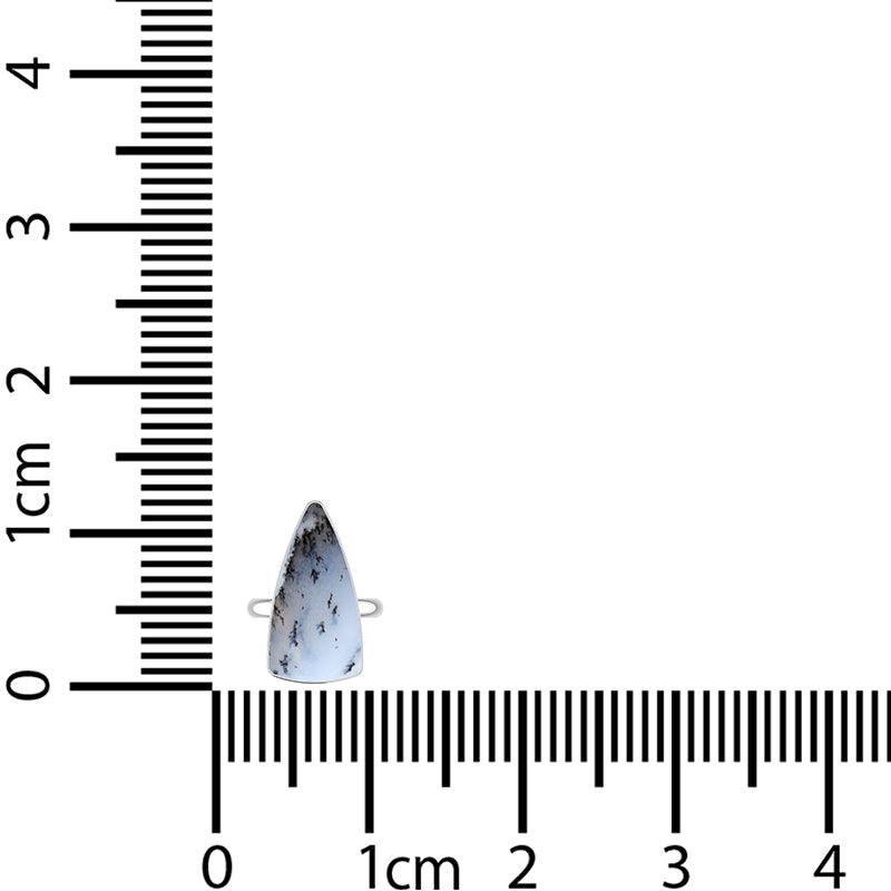 Dendrite Opal Ring_R-BOX-11_13