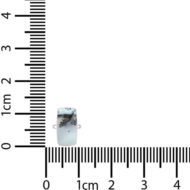 Dendrite Opal Ring_R-BOX-11_5