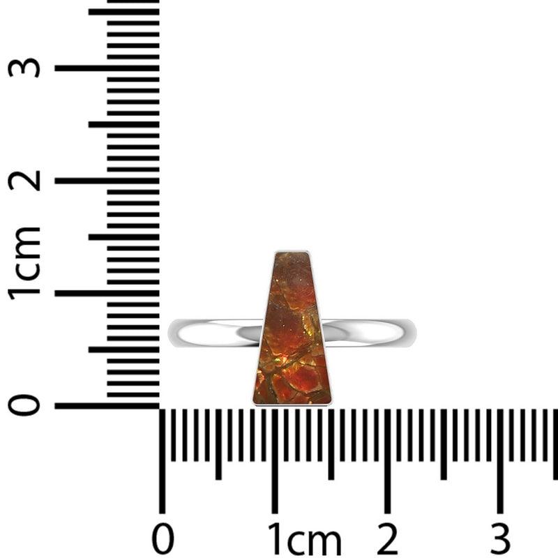 Ammolite Ring_R-BOX-2_13