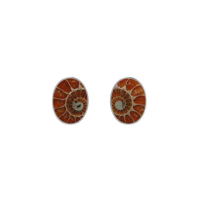  Ammonite_STU_B_1_5