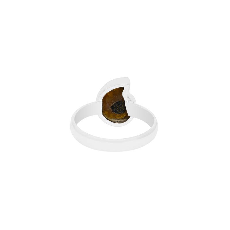 Ammonite Ring_R-BOX-1_4