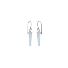 925 Sterling Silver Cut Rainbow Moonstone Hook Earring Bezel Set Pack of 1