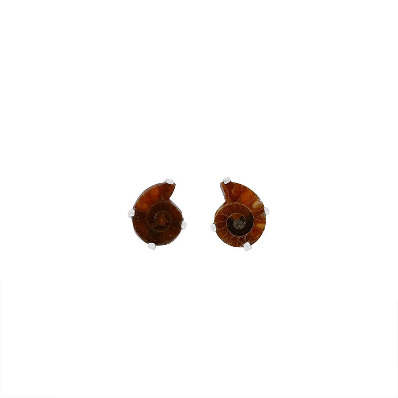 ammonite earrings 