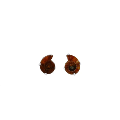 ammonite earrings 