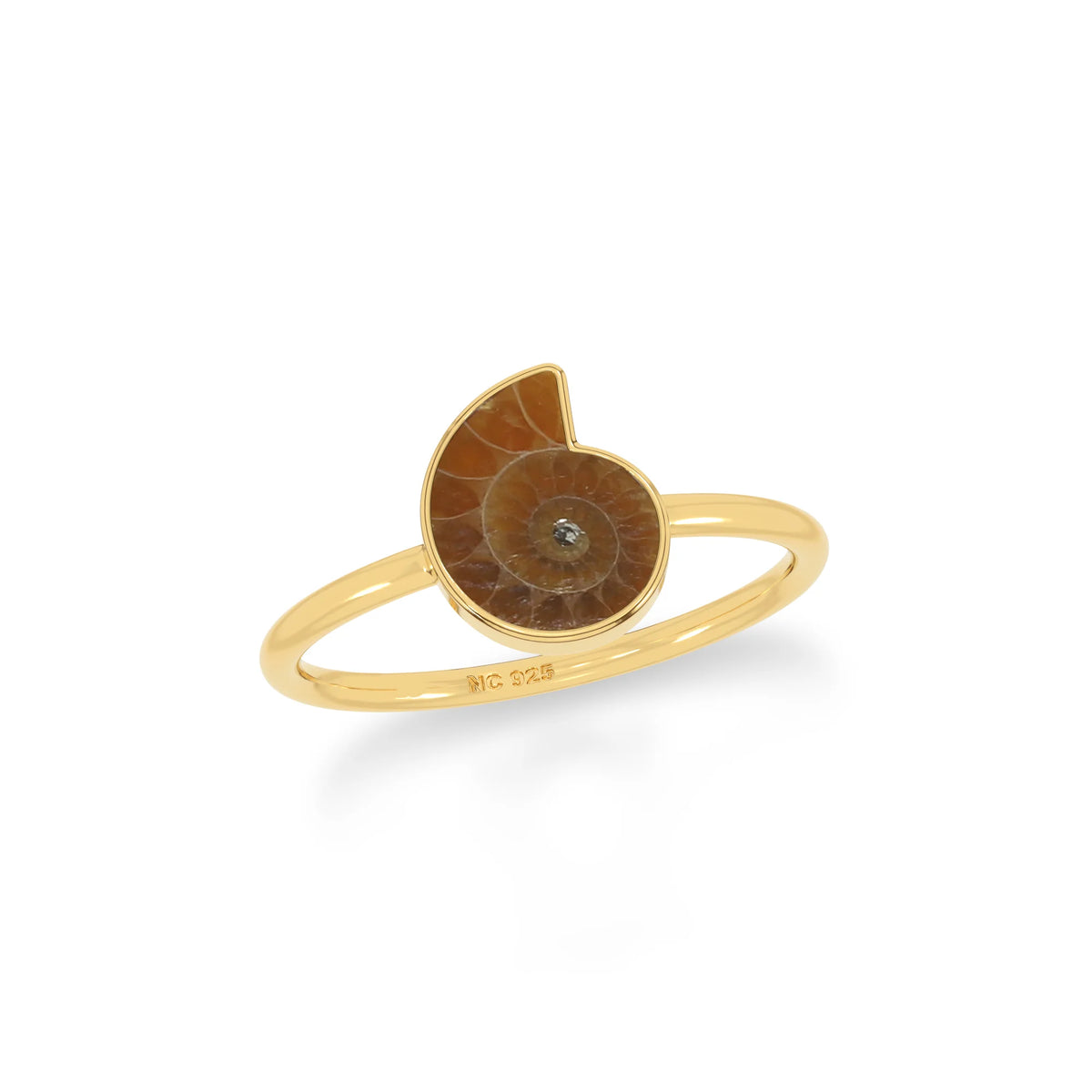 ammonite bezel-set ring