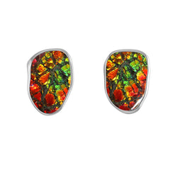 ammonite rough earrings 