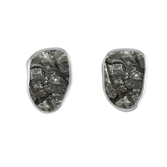 meteorite earrings 