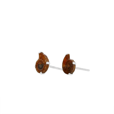 ammonite earrings 