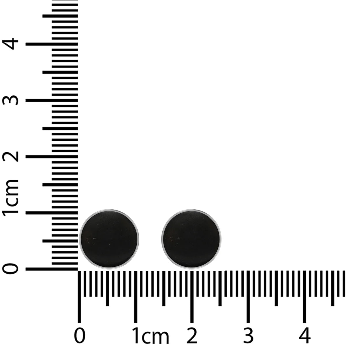 shungite cab earrings