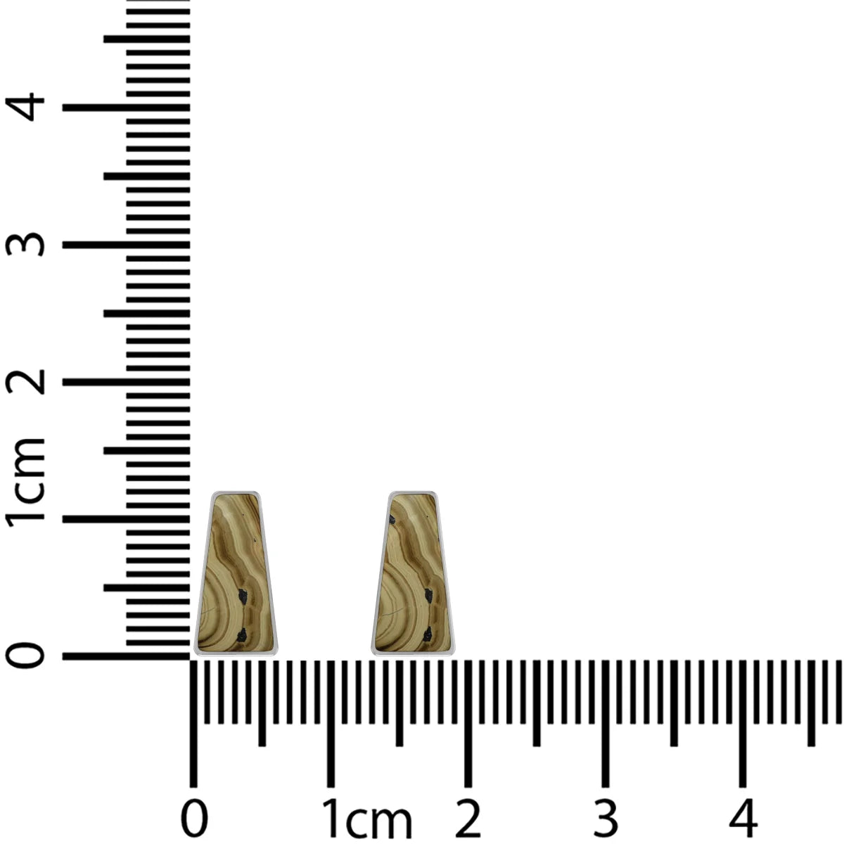 schalenblende earrings