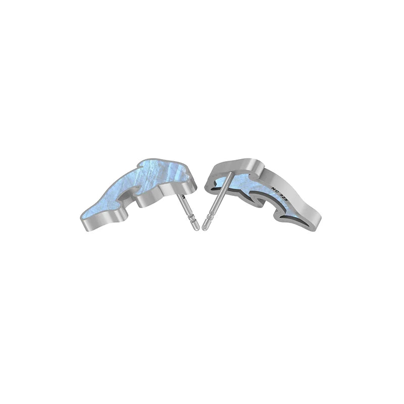 rainbow moonstone earrings
